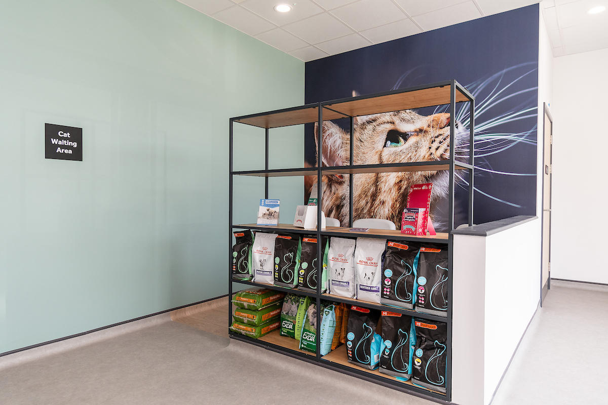 Pet products for sale in waiting area Harbour Veterinary Group - Southsea Portsmouth 02392 827014