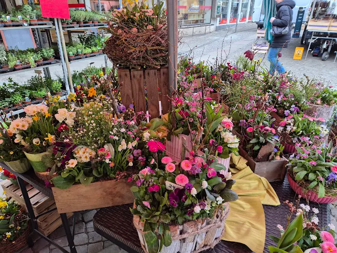 Johann Wurthmann, Wechold 31 in Hilgermissen