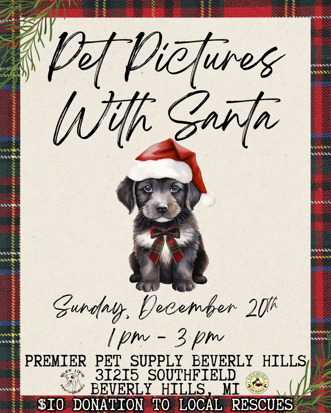 Image of Local Pet Event Santa Pet Photos W/ Ruff Life Photography! | Beverly Hills Nearby