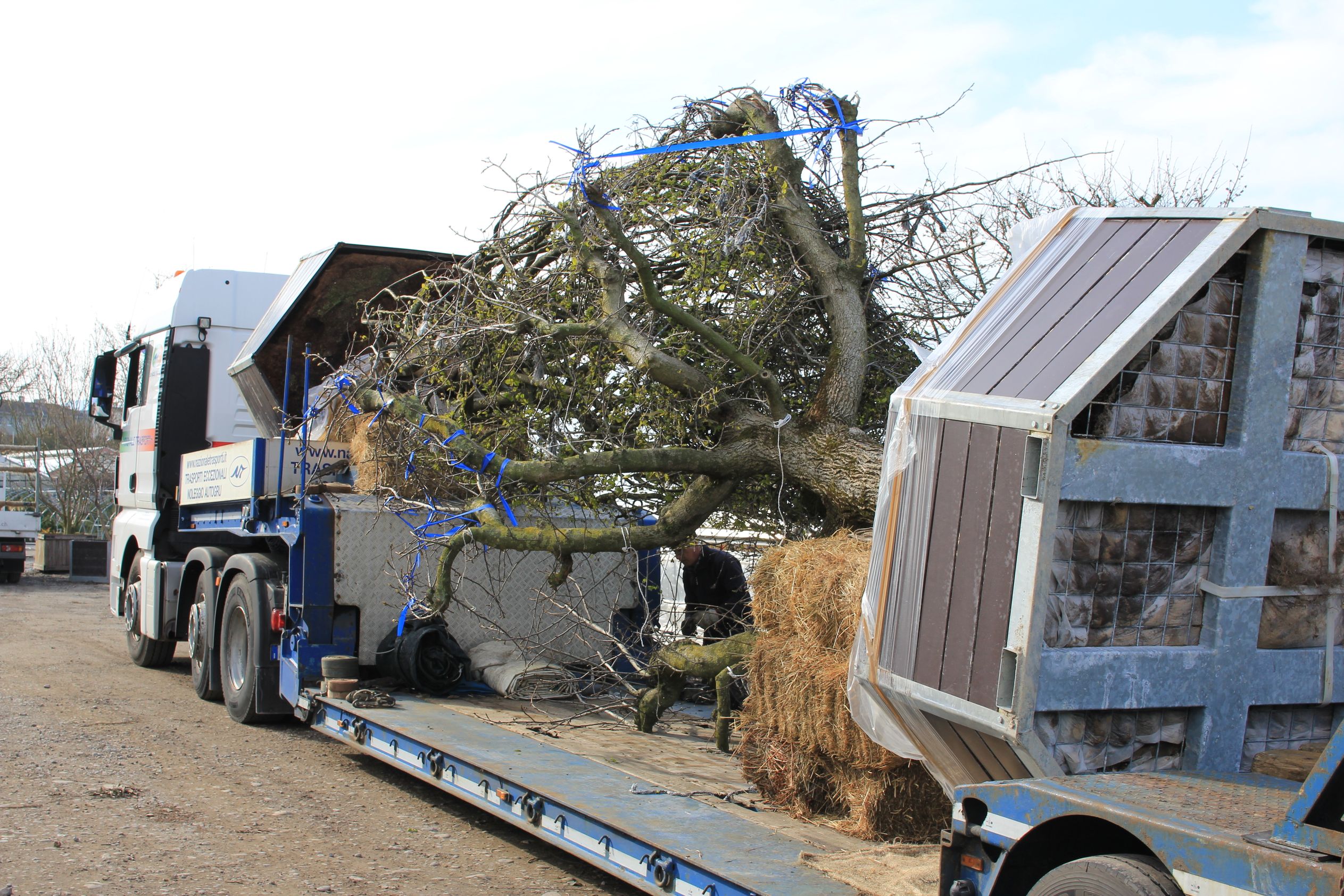 Bilder Bernhard Baumschulen AG