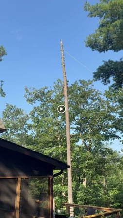 Images ER Tree Services LLC