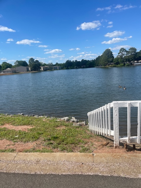 Images Lake Vista