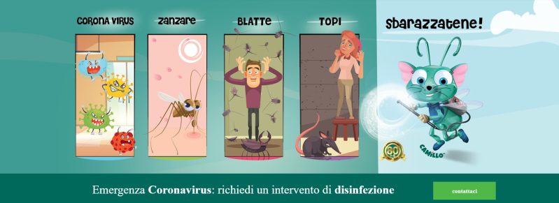 Images Derattizzazioni e Disinfestazioni D'Orta