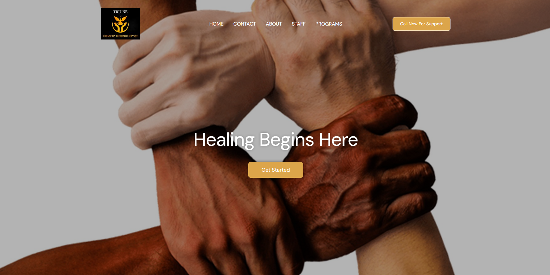 Triune Community Treatment Services (Triune CTS) provides outpatient addiction counseling and recovery support services in Canton, Ohio. JellyWeb custom-built a streamlined one-page website for this startup organization to establish a professional online presence, clearly explain services, and make it easy for clients to reach out, all while staying within a limited startup budget.