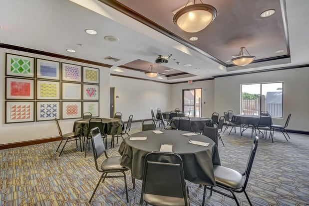 Images Holiday Inn Express & Suites Tampa -Usf-Busch Gardens by IHG
