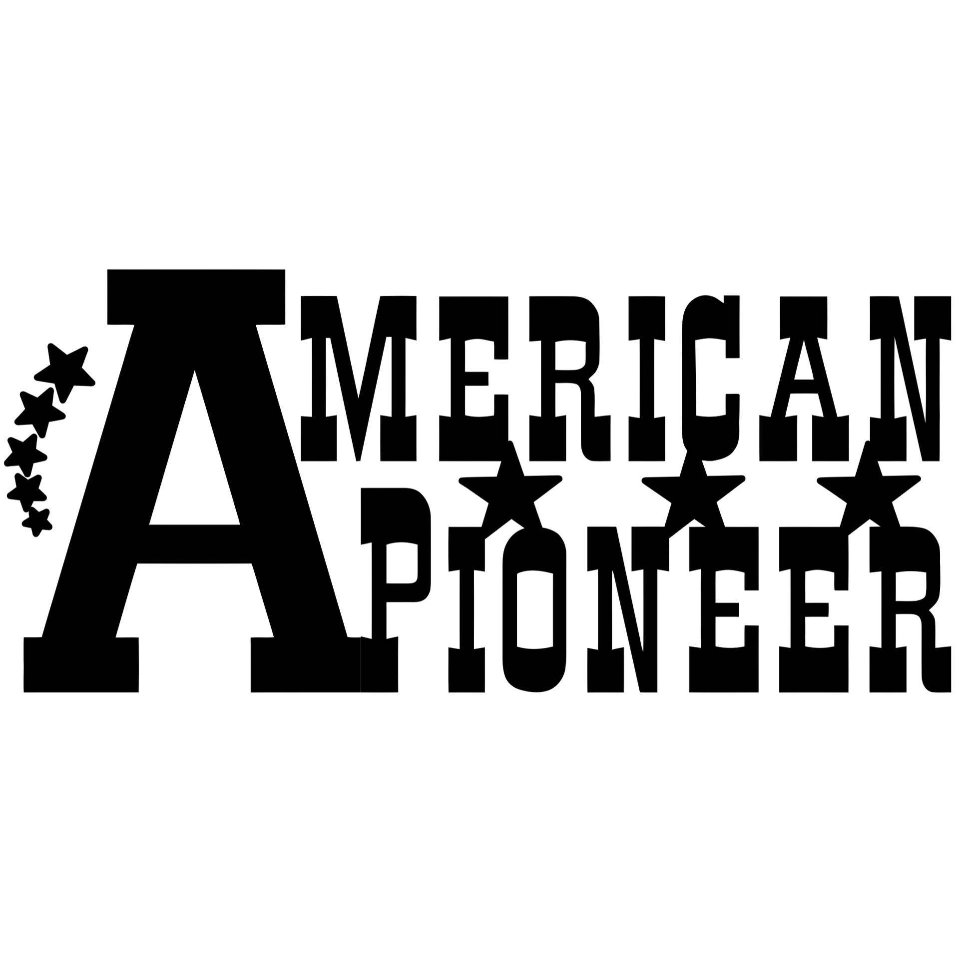 American Pioneer Co.