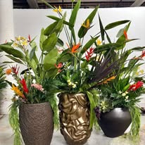 Sparkling Creations Image