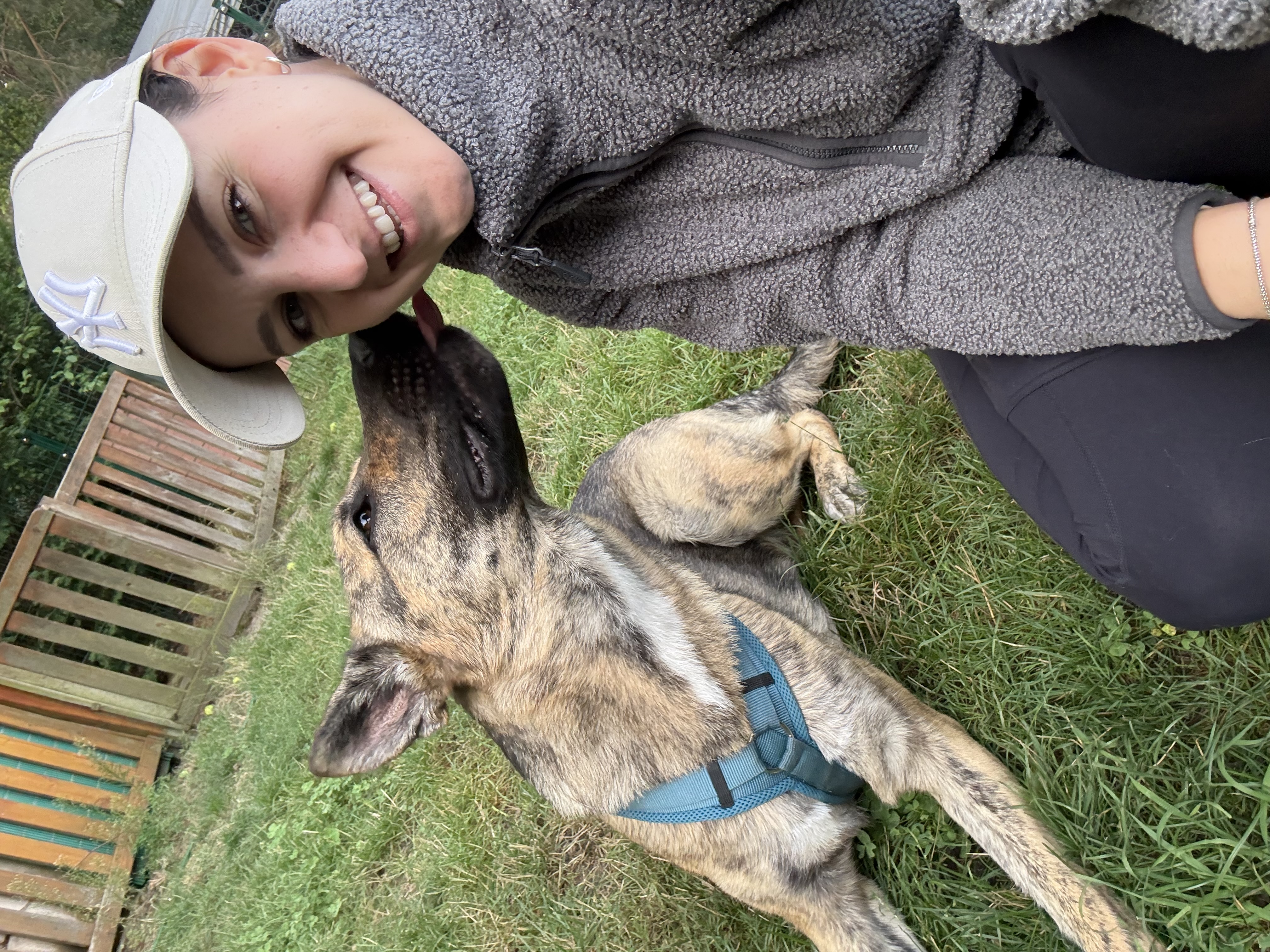 Bild 13 Dogcoach Hundezentrum in Berlin
