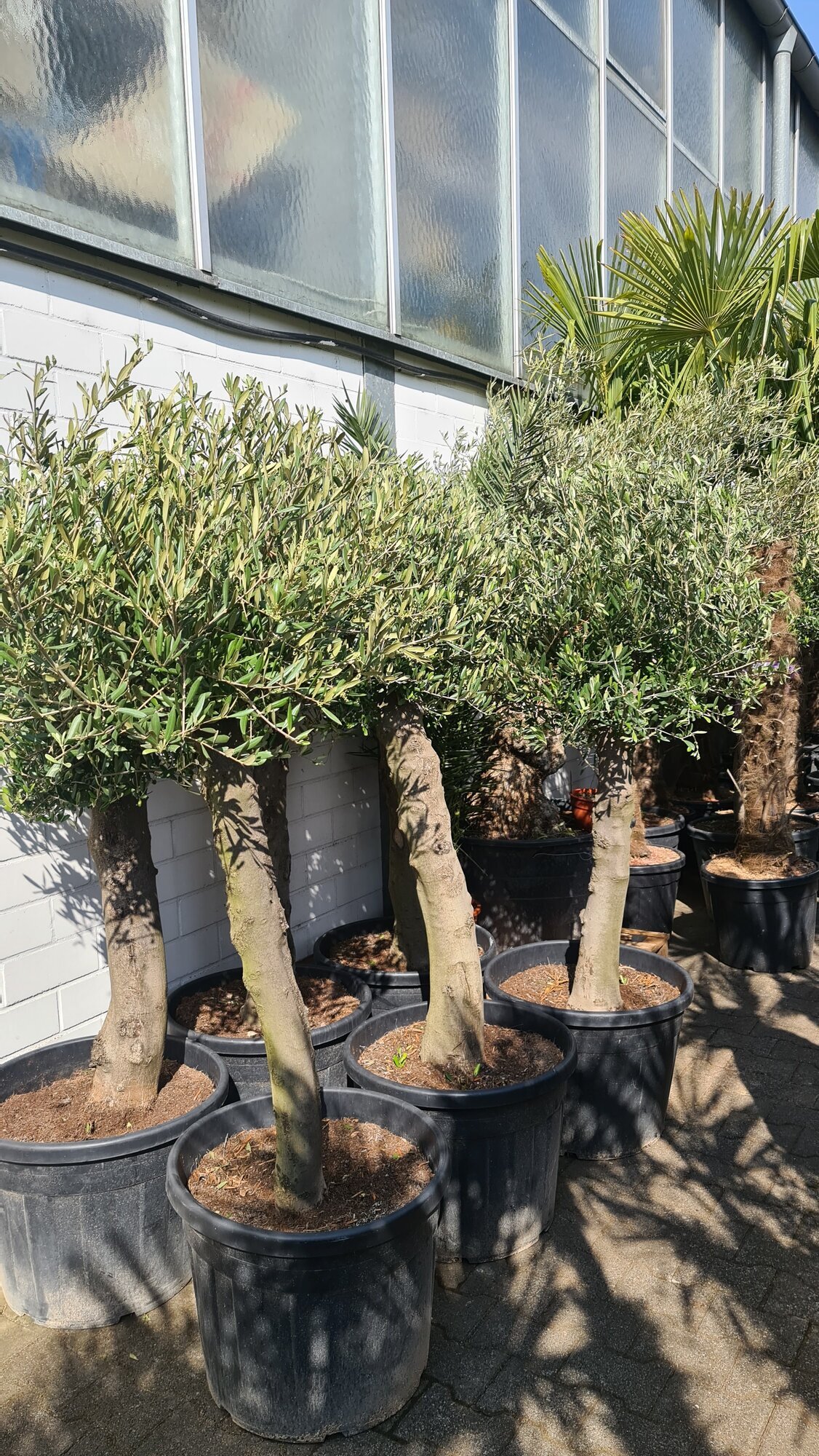 Hausmeisterservice & Gartenstyling in Offenbach Am Main