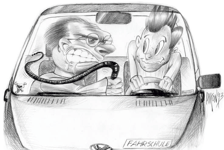 Reiche Fahrschule, Schanzenring 31 in Winsen (Luhe)