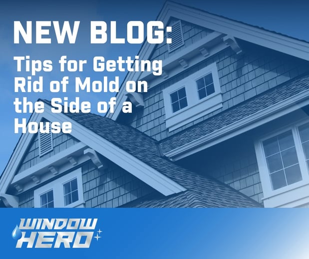 Images Window Hero Charlotte