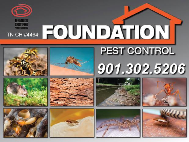 Images Foundation Pest Control