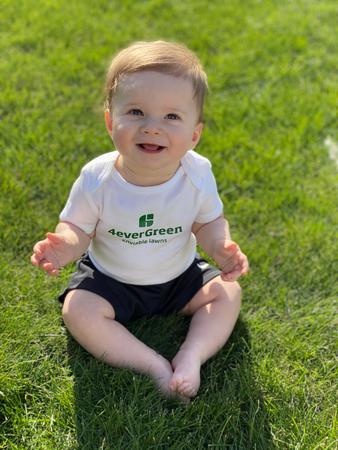 Images 4everGreen Turf Management