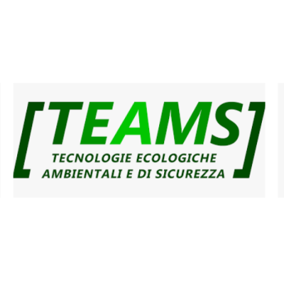 T.E.AM.S. Logo