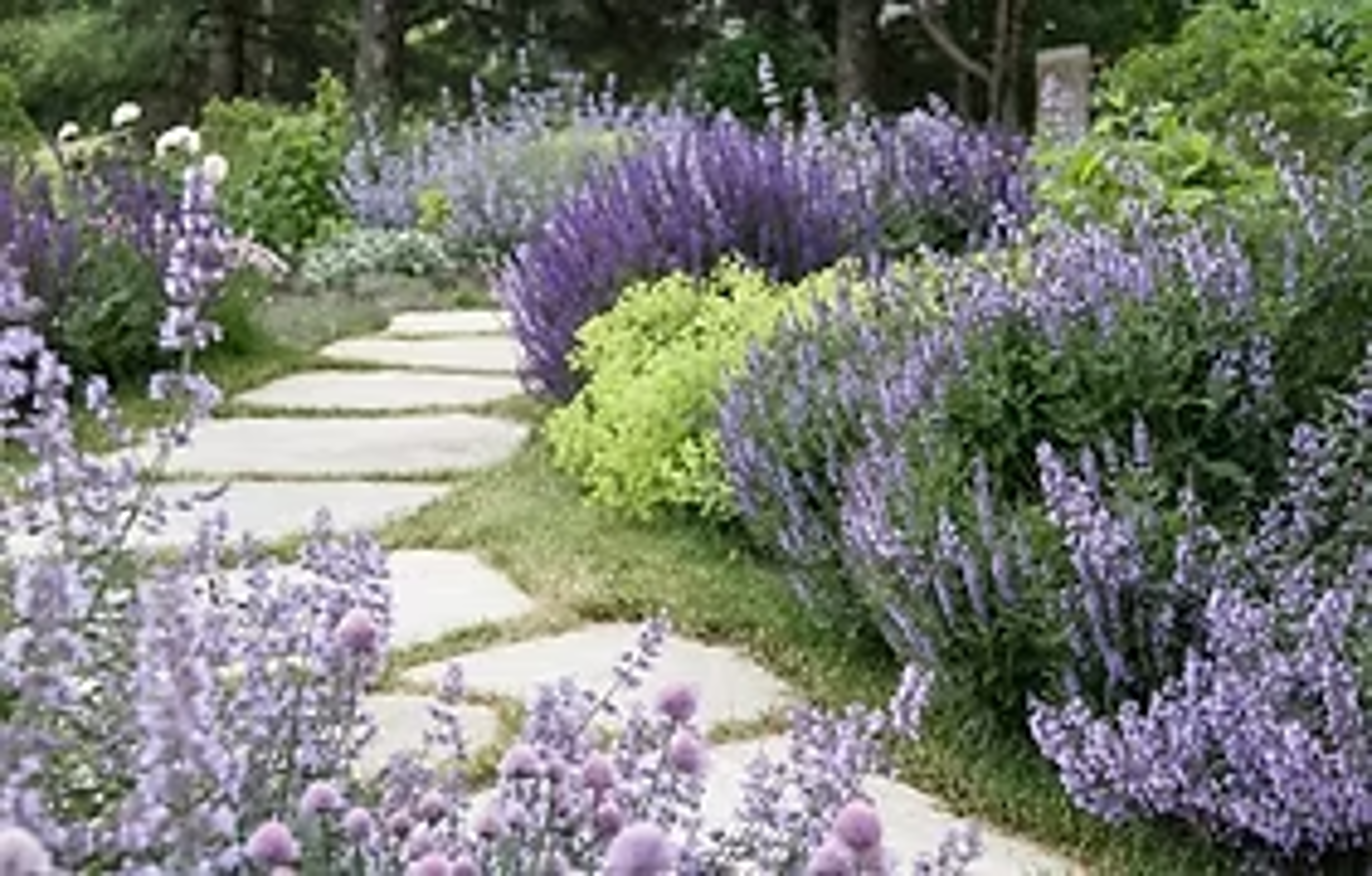 Images Gardengoals