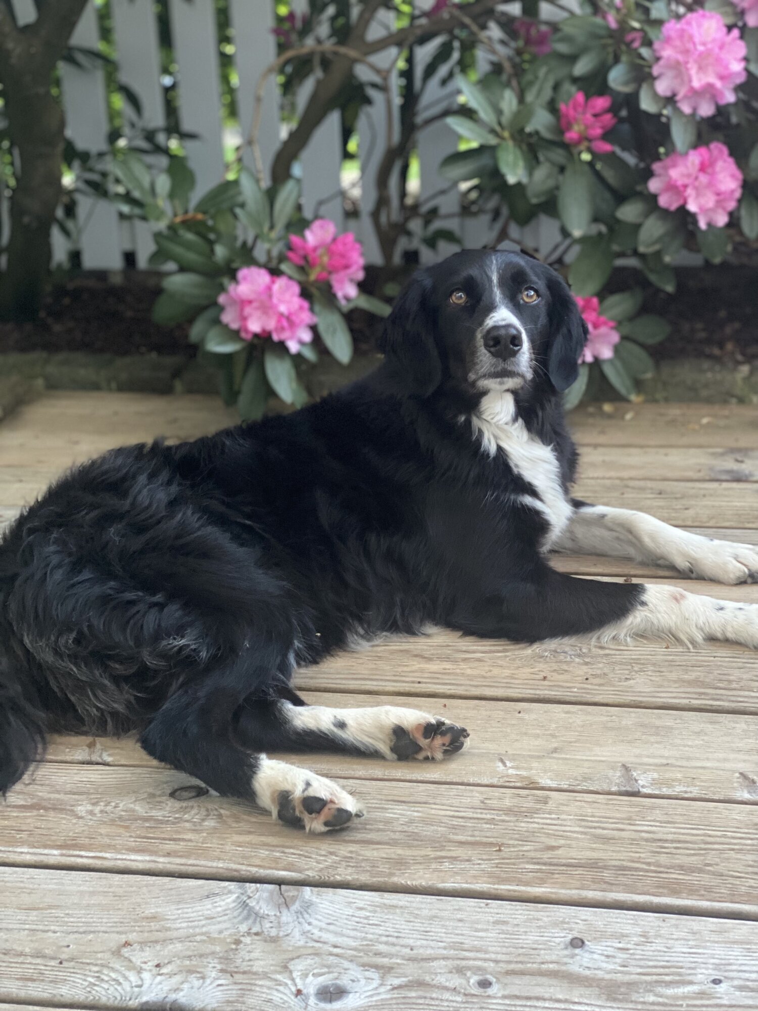 Schönbar - Susanne Maierhofer, Peter-Auzinger-Straße 9 in München