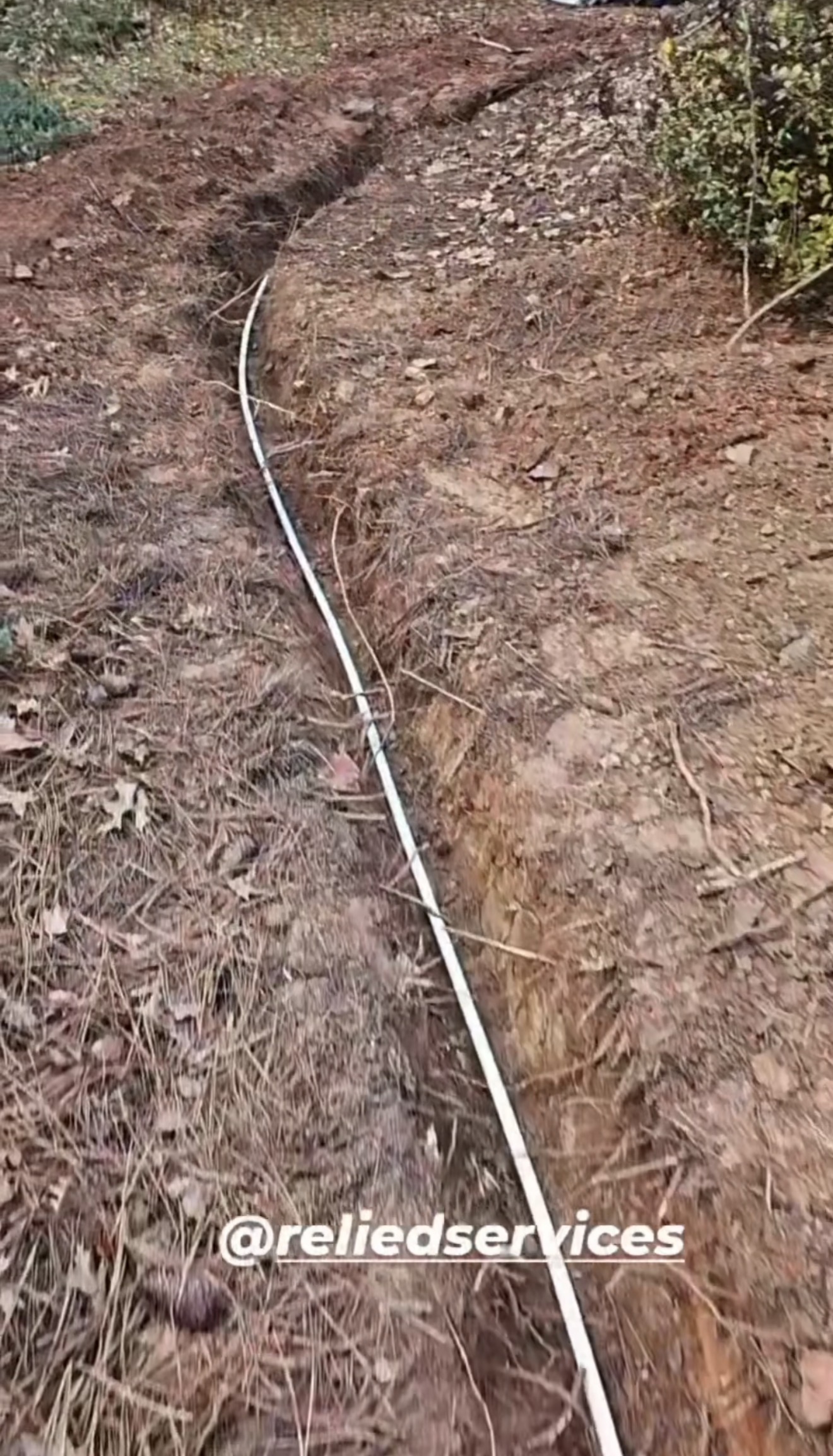 Relied Services Image