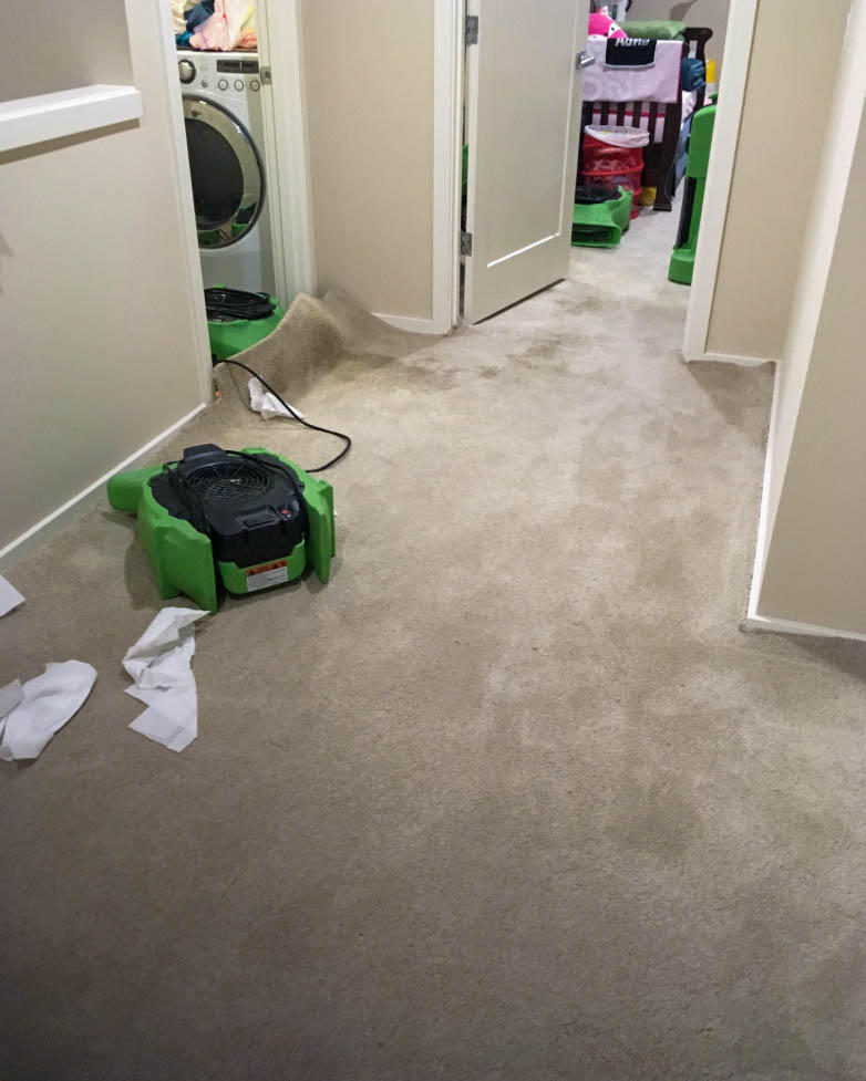 From plumbing leaks to floods, water damage can occur in a variety of ways. Our SERVPRO Seattle Northwest team can put an end to it, no matter how it starts! Call us  to schedule service for your home or business in Crown Hill, WA.