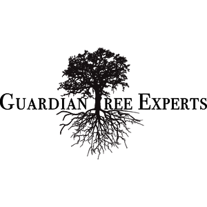 Guardian Tree Experts Logo