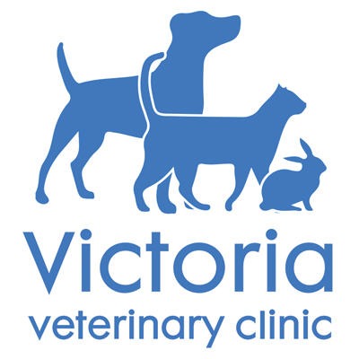 Victoria Veterinary Clinic - Bristol Logo