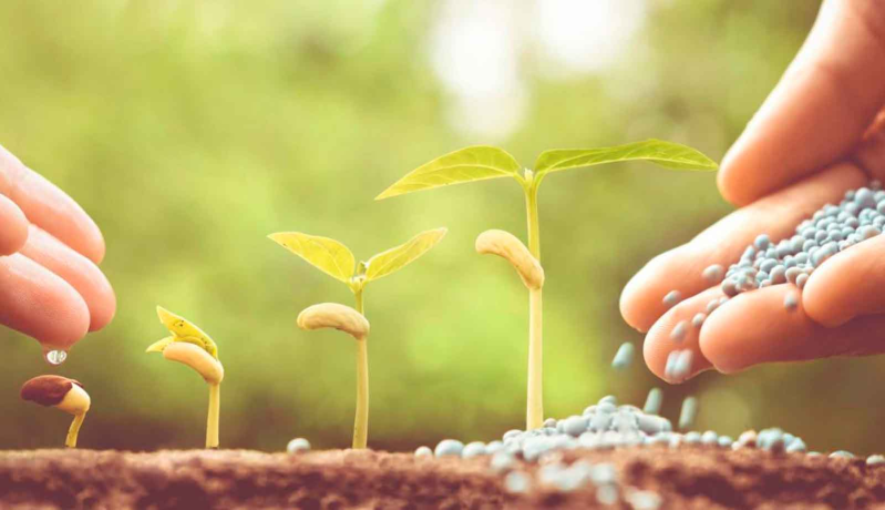 Images Agrifutura srl