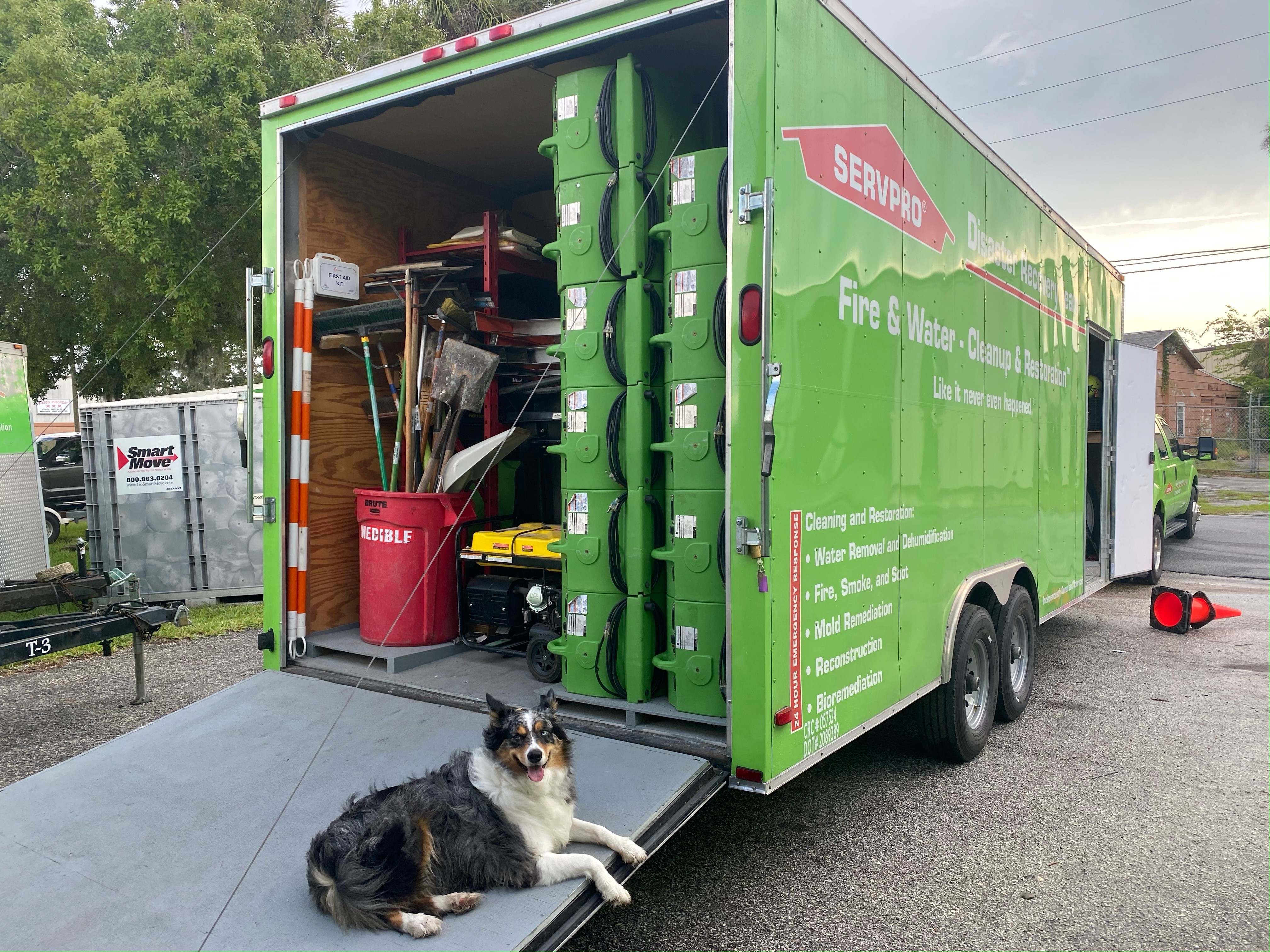 Office dog taking a break beside a trailer ready to dispatch to a job