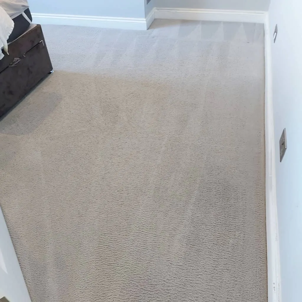 Images Titanium Cleaning