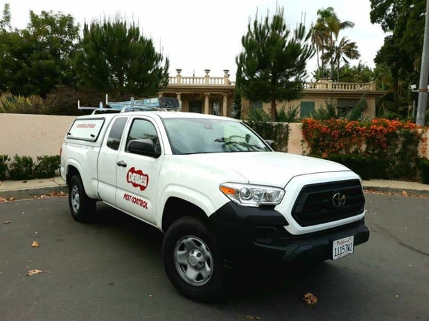 Images Dewey Pest & Termite Control