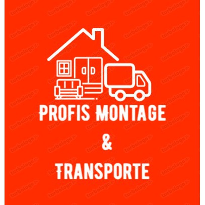 Profis Montage & Transport Logo
