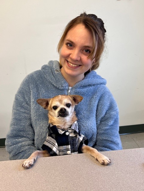 Images VCA Green Animal Hospital