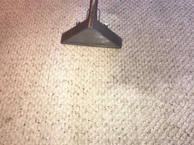 Images Spalding Carpet & Tile Cleaners