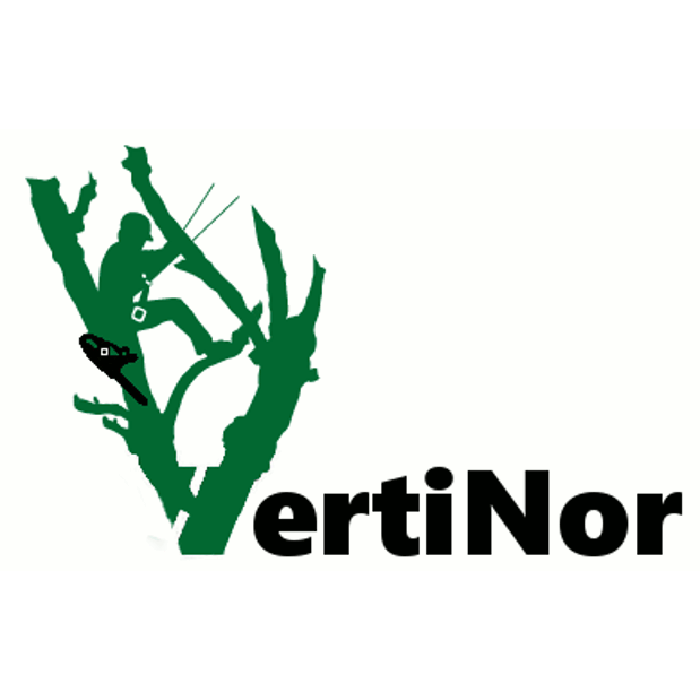 Vertinor Logo