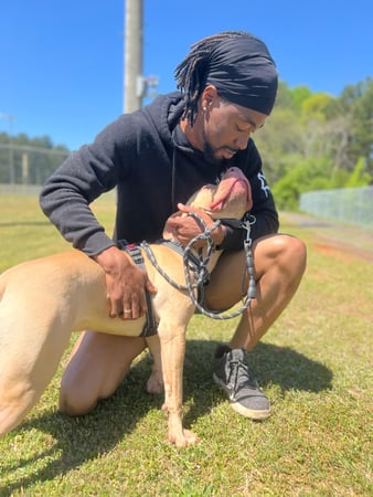 Images Dog Man Ran Personal Dog Training & Pet Care