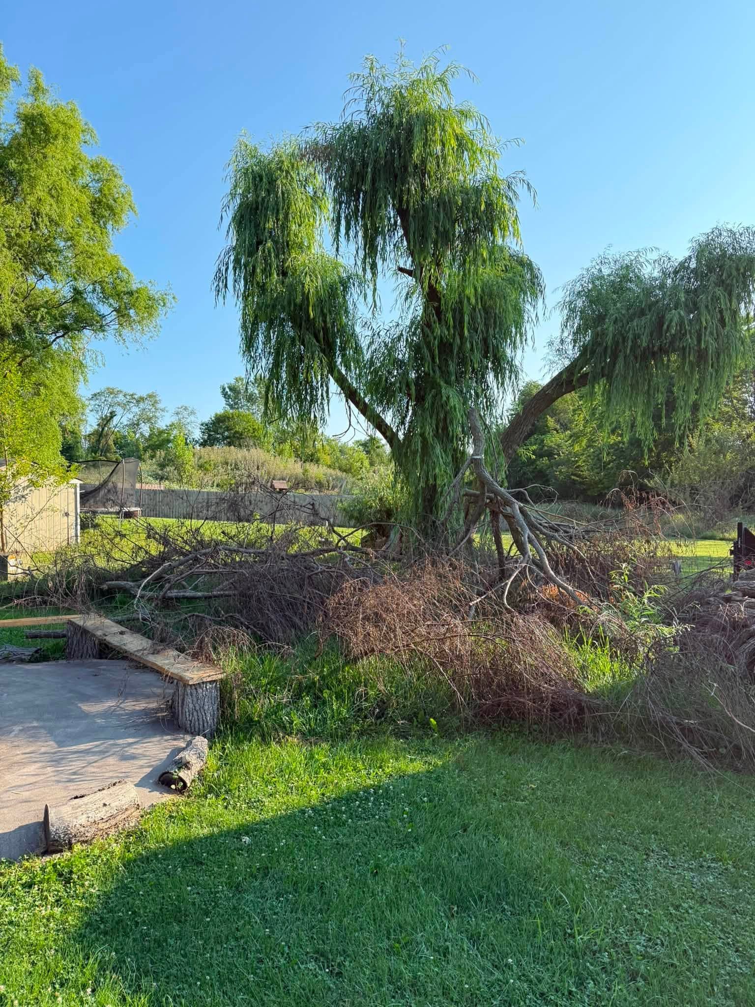 Hemenway Land Enhancement