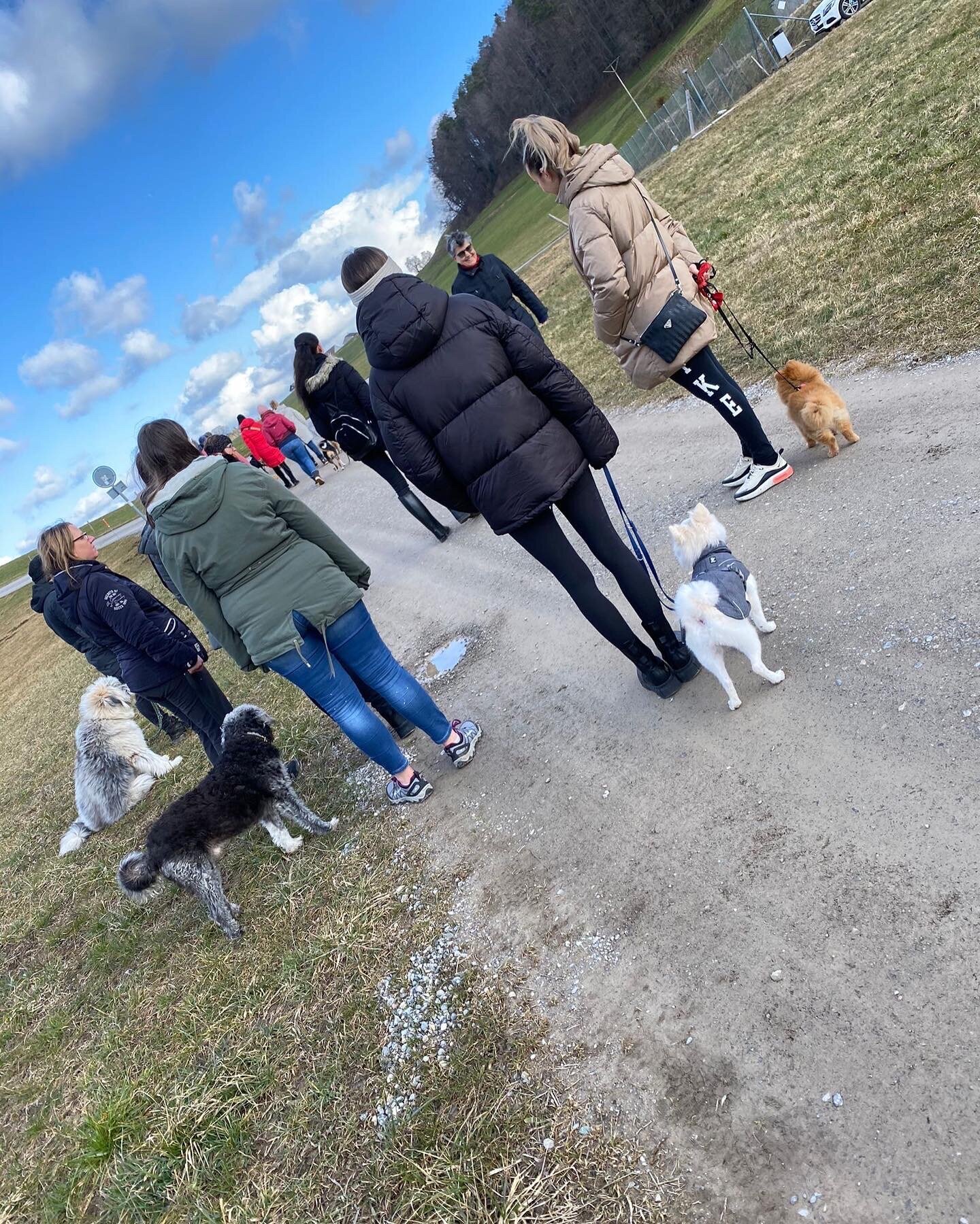 Bilder A-Z-Hundetraining