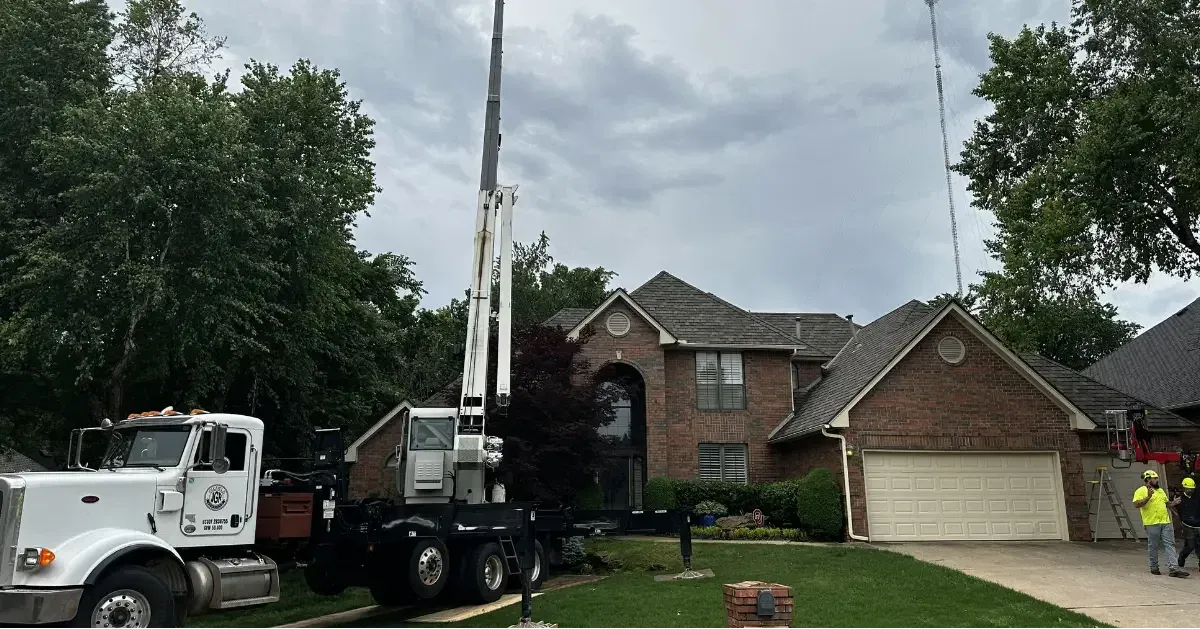 Tree Removal in Edmond, OK