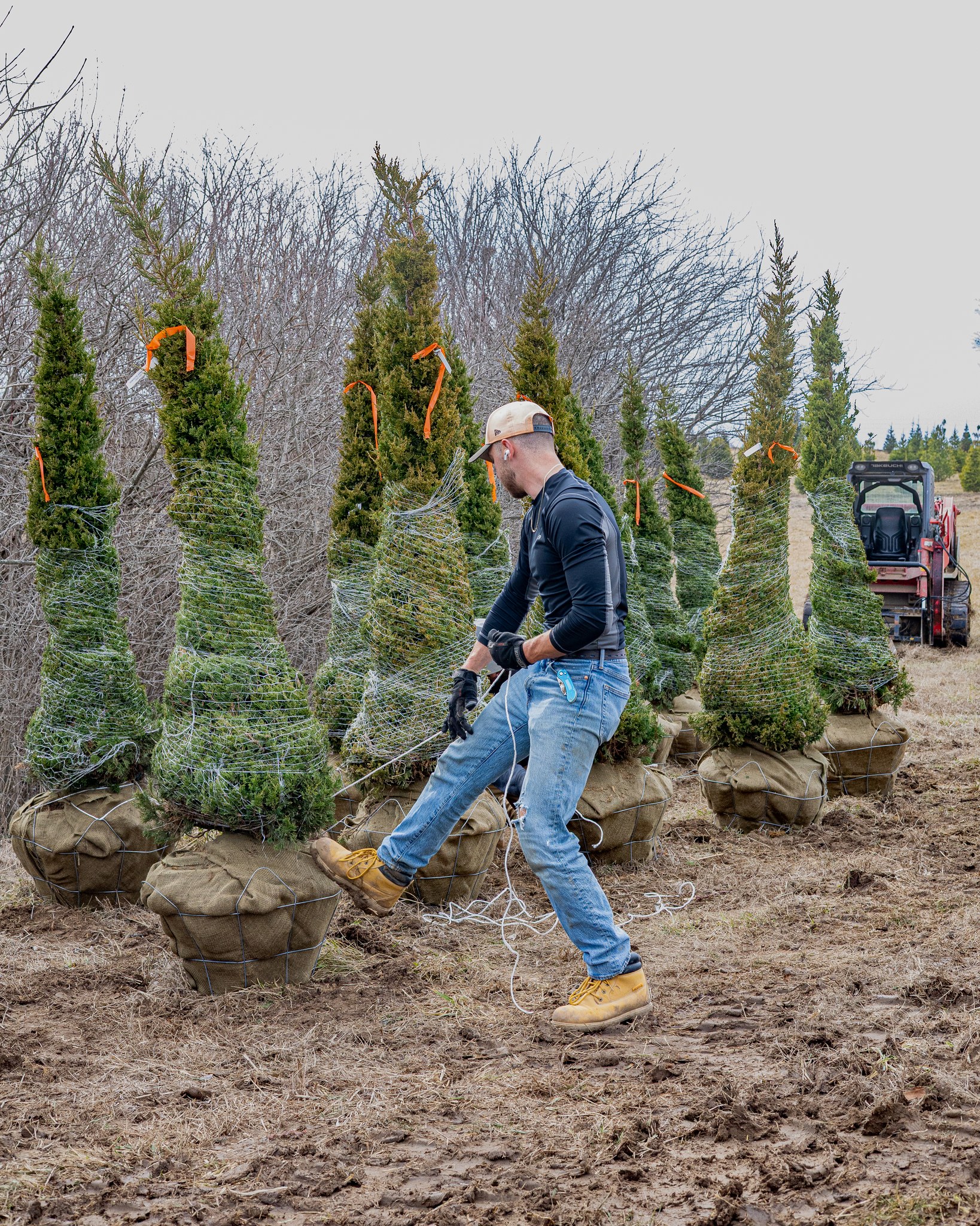 Rost Landscaping Image