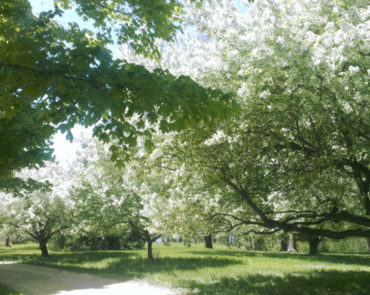 Images Cottingham Farm