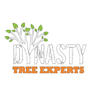 Dynasty Tree Experts, LLC