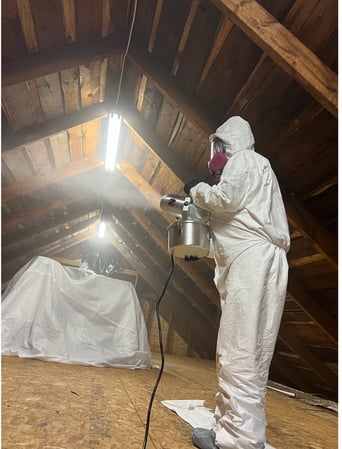 Images Quality Mold Remediation LLC