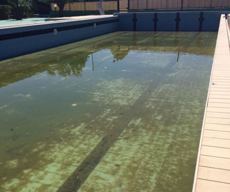 Images Autospurgo Gentile Michele