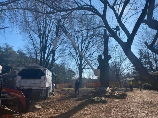 Images God's Way Tree Service