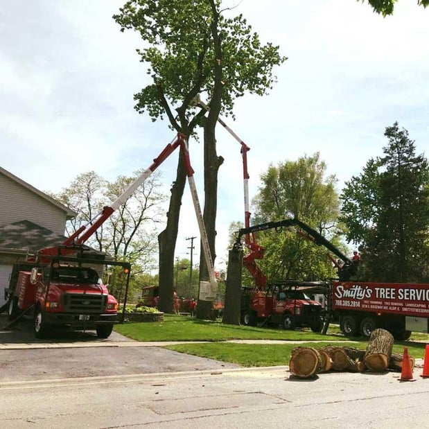 Images Smitty's Tree Service Inc.