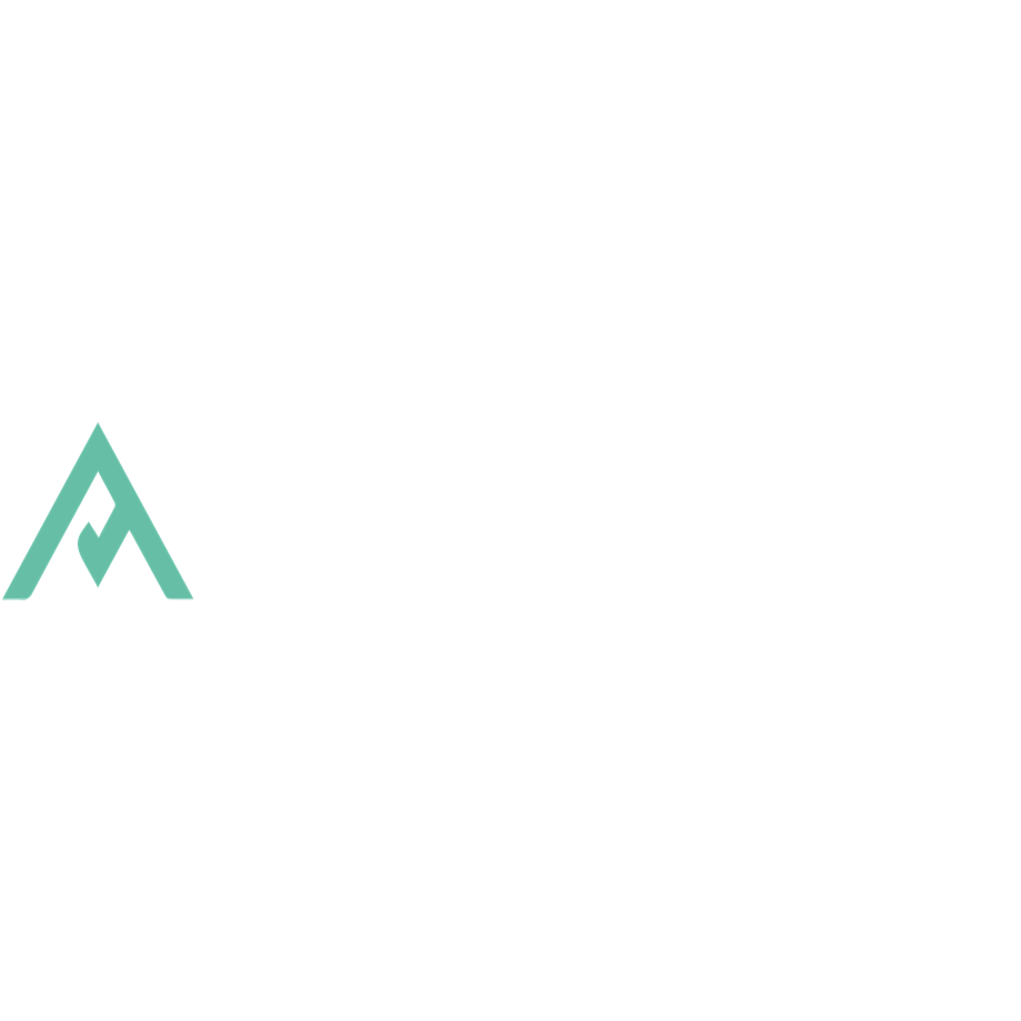Logo AMICAL ALPIN GmbH & Co. KG die Bergschule