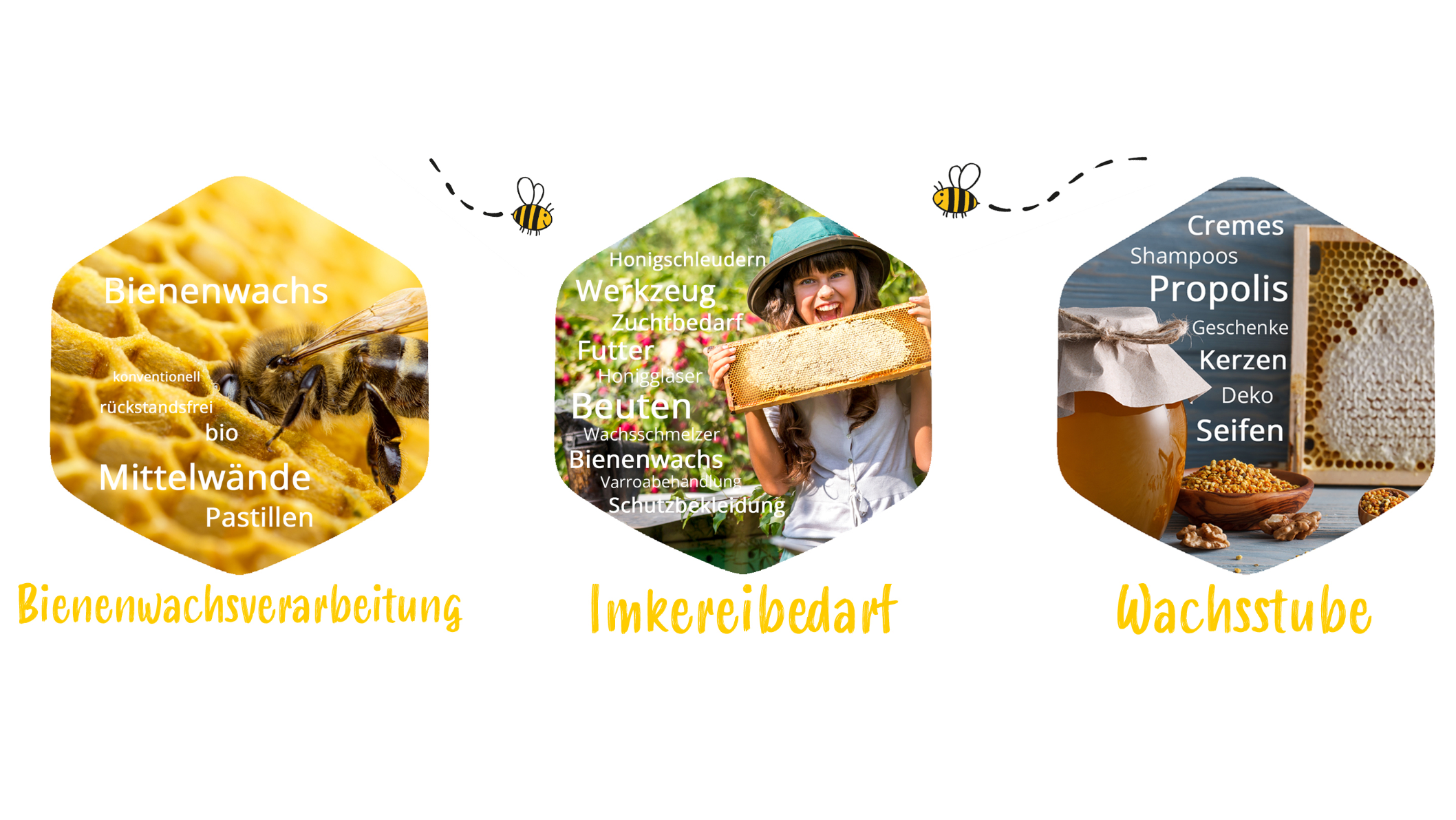 Bilder WACHS HÖDL