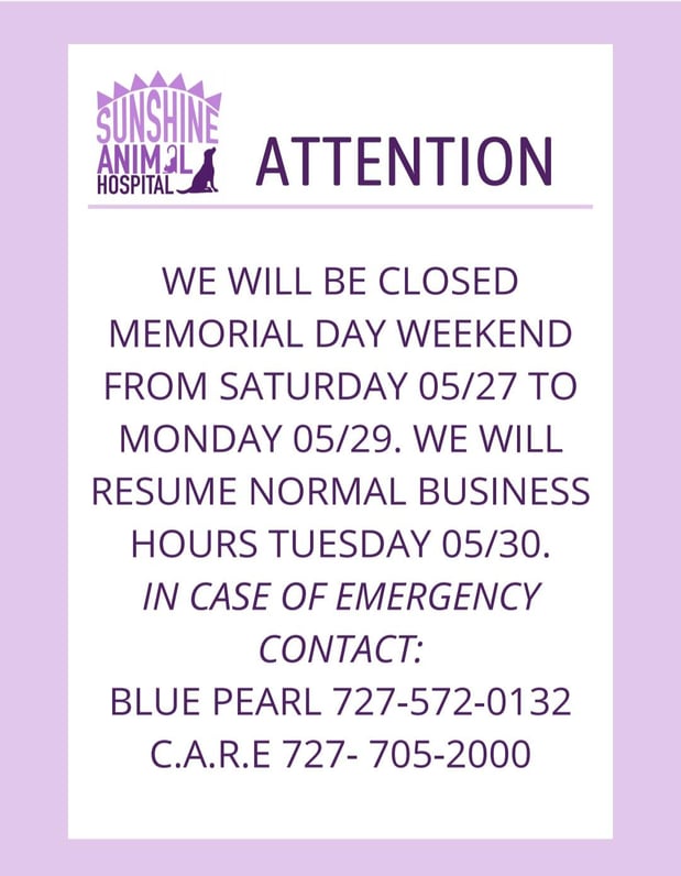 Images Sunshine Animal Hospital