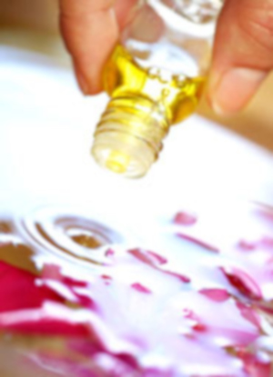 ROSE OFFICE GmbH, Heyestrasse 194 in Düsseldorf