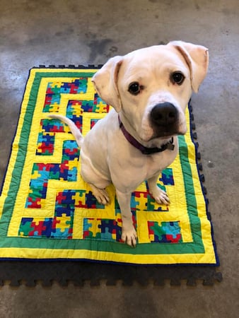 Images Yoder's Applied Practice