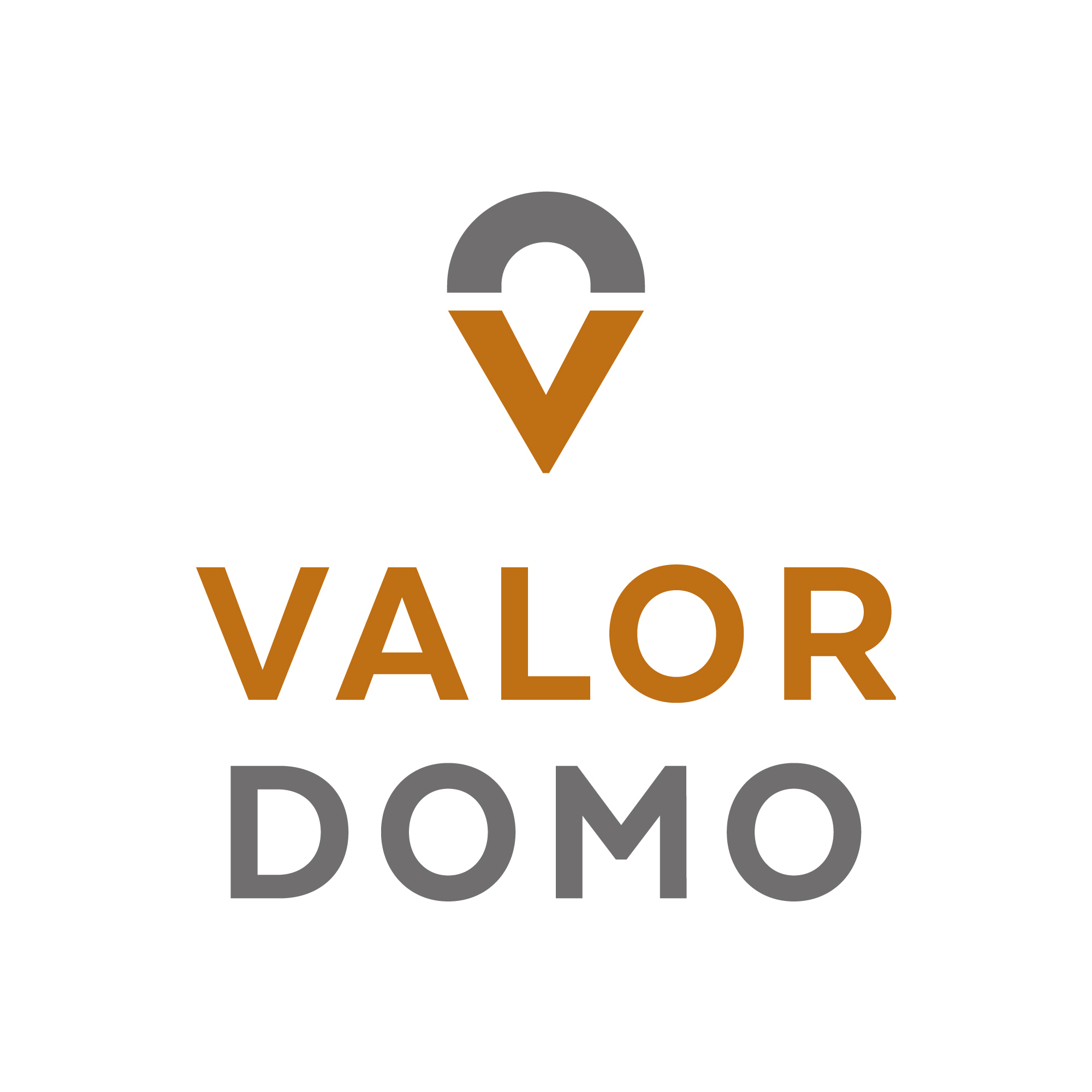 Logo von ValorDomo Immobilien GmbH