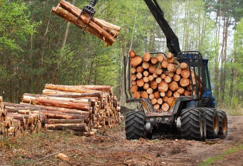 Images Le Bois  S.a.s . di Jacquemod S.& C.